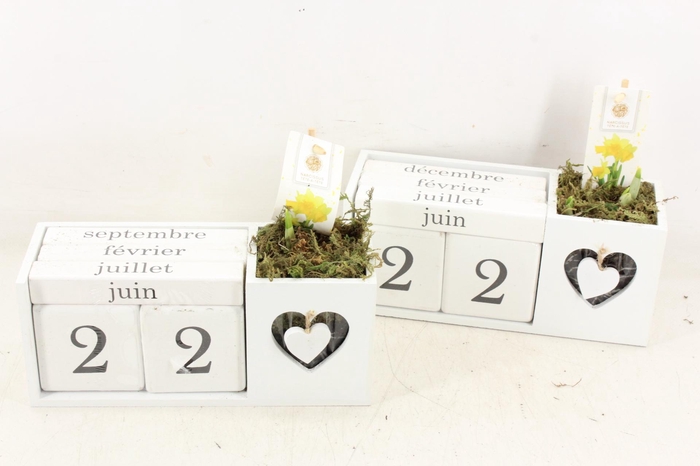 <h4>arr4 Narcis FL - Hout kalender</h4>