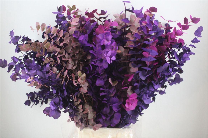 <h4>Euca Cinerea Mix Pink P Bunch</h4>