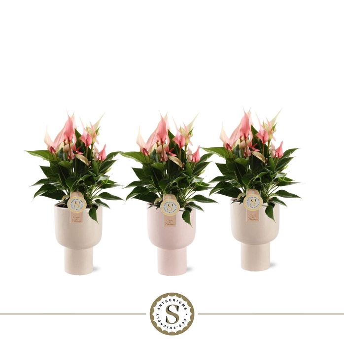 <h4>Roma Keramiek Lilli</h4>