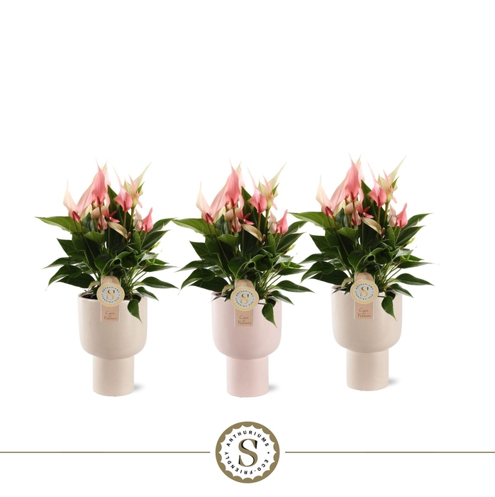 <h4>Roma Keramiek Lilli</h4>