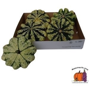 <h4>CUC PEP PATISSON MIX</h4>