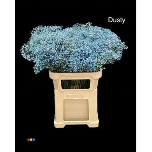 Gyps Xlence Dusty Blue
