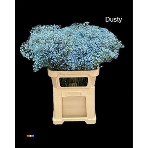 Gyps Xlence Dusty Blue