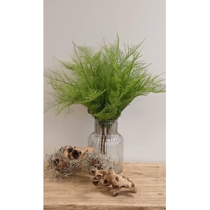 ASPARAGUS BUSH GREEN GR110048GRN L45