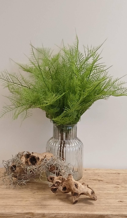 <h4>ASPARAGUS BUSH GREEN GR110048GRN L45</h4>