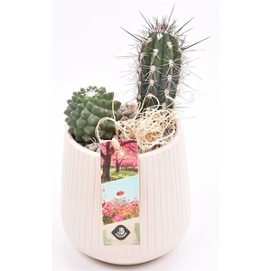 Keramiek vert.lines creme mat 12cm