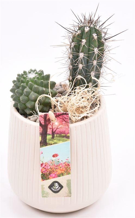 <h4>Keramiek vert.lines creme mat 12cm</h4>