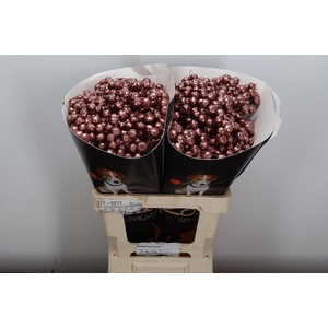 Snijgroen Snijbloemen Klb H