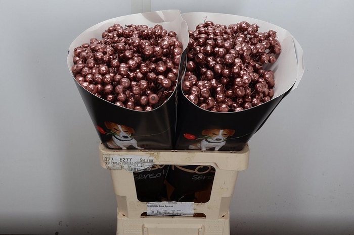 <h4>Snijgroen Snijbloemen Klb H</h4>