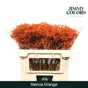 Gyps Xlence l70 Orange