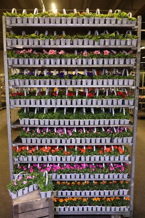 <h4>arr8 Perkpl Mixk</h4>