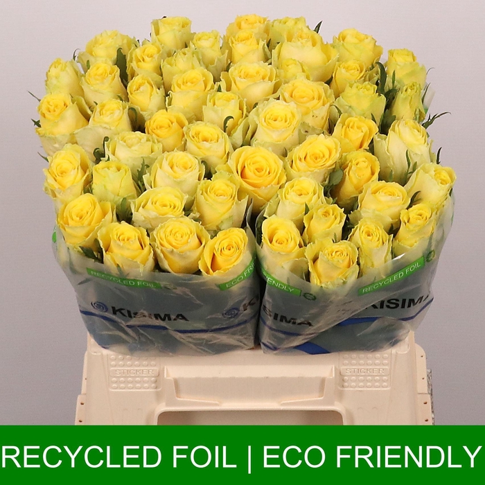 <h4>R GR GOOD TIMES</h4>