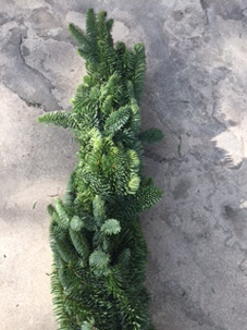 GUIRLANDE NOBILIS 100 CM