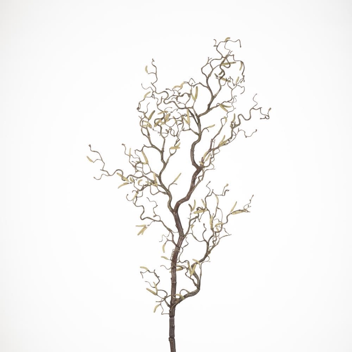 <h4>AF Corylus Contorta L120cm Nat</h4>