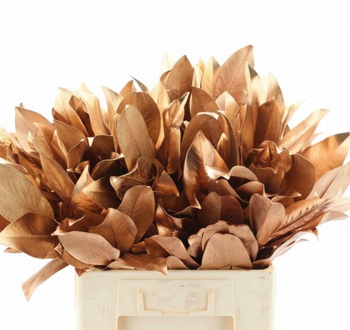<h4>Magnolia Leafs Klb Koper</h4>