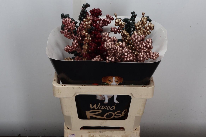 <h4>Ilex Wx Mix Copper Xl</h4>