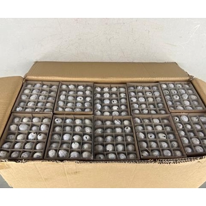 Egg Quail White Box(60pcs)