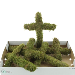 Pres Moss Cross Green (34cm X 26cm)