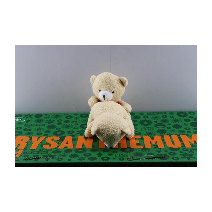 <h4>Deco Valentijn Beer 21% (x24)</h4>