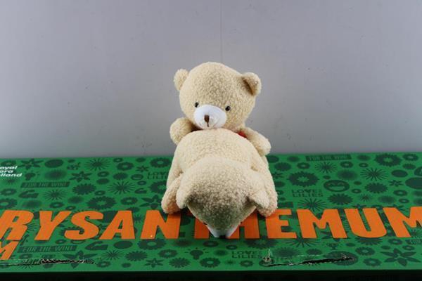 <h4>Deco Valentijn Beer 21%</h4>