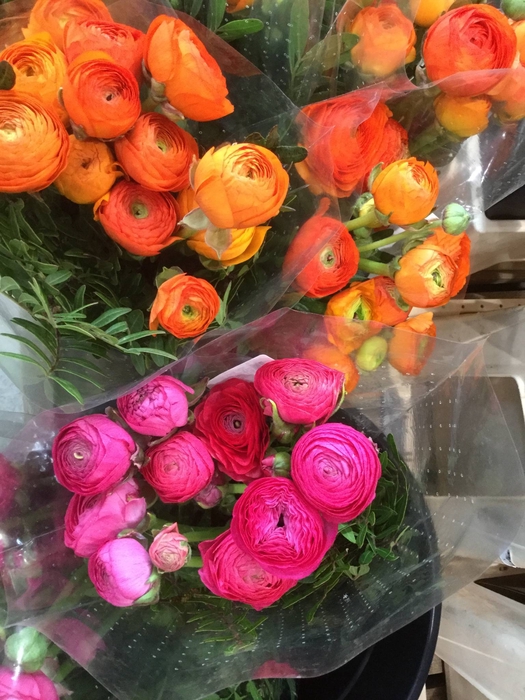 BOUQUET ITALIE MIXED BERRY P BUNCH