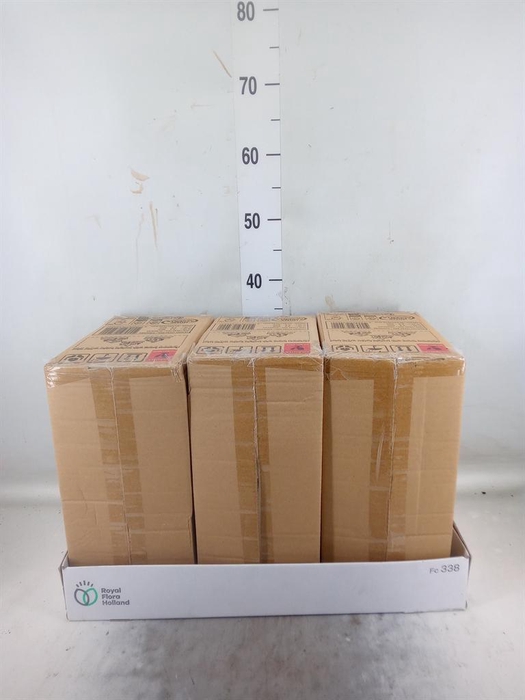 <h4>Decoratieve materialen   ...H%</h4>