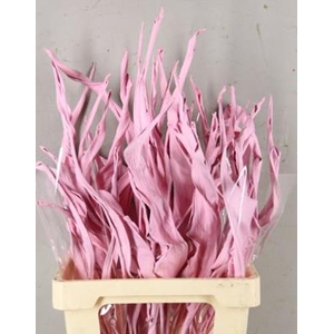 Df Strelitzia Leaf Light Pink