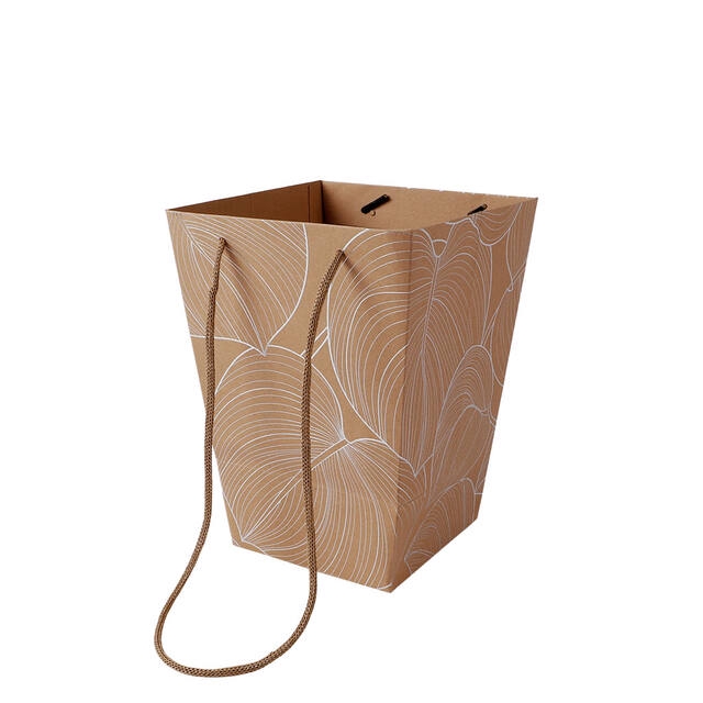 <h4>Bag leaf Calathea  carton 16x12x22cm silver 10/bag</h4>