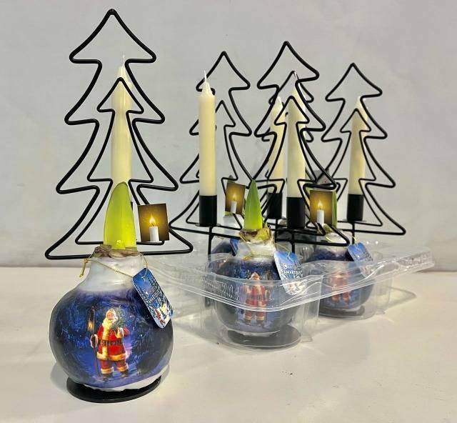 <h4>BLOEMBOL HIPPEASTRUM</h4>