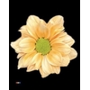 Chr T Kennedy Pastel Orange