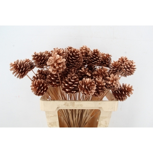 Stick Pine Cone Copper