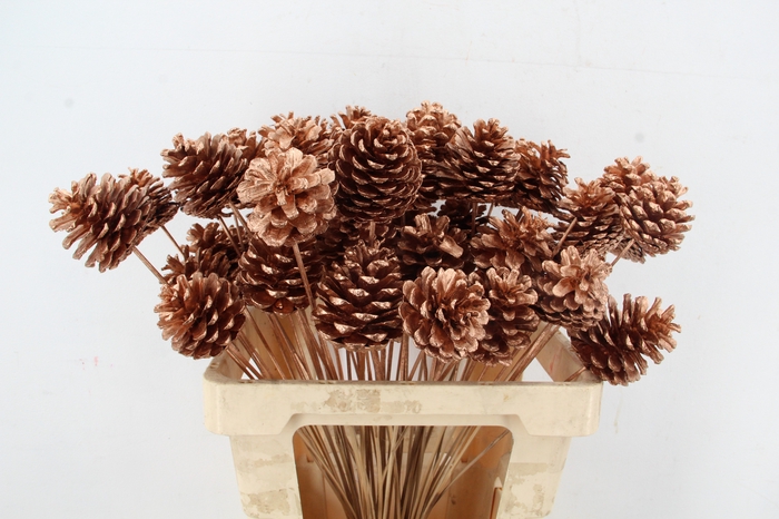 <h4>Stick Pine Cone Copper</h4>