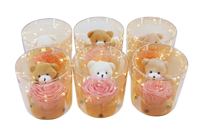 <h4>Arrangementen Potroos H%</h4>