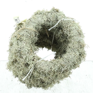 Wreath Tree Moss Natural X5