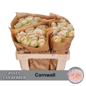 R GR CORNWALL