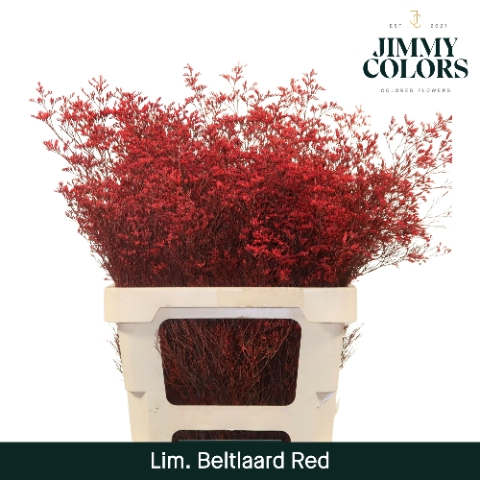 <h4>Lim Bel L70 Red</h4>