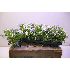 Camp Portenschlagian