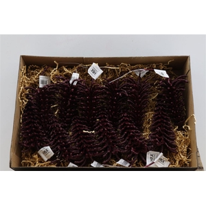 Deco Tree Picea Wax W9h17 Burgundy