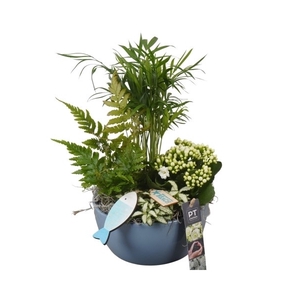 PTSD8037 Arrangement Summer Deal in keramiek schaaltje