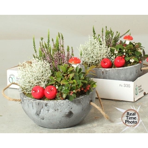 ARR GARDEN CONCRETE X2