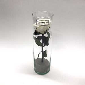 Cilinder d6x20h wit glas
