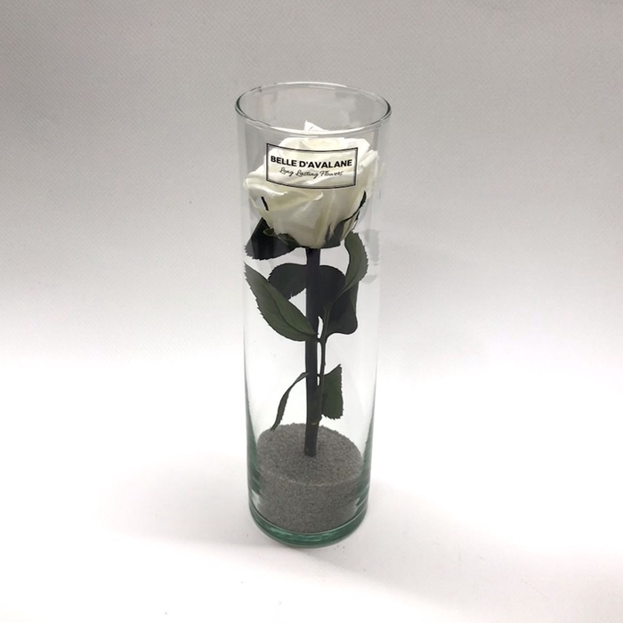 <h4>Cilinder d6x20h wit glas</h4>