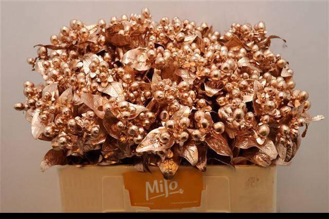 <h4>HYP OV KLB H%</h4>