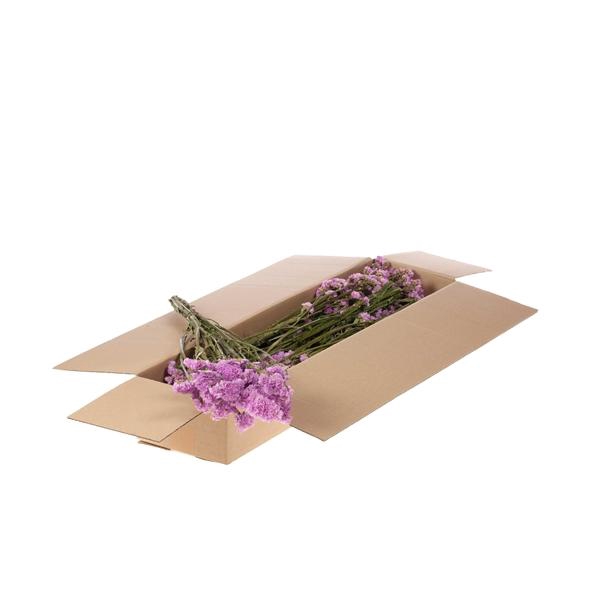 <h4>Statice Sinuata Sb Natural Light Pink</h4>