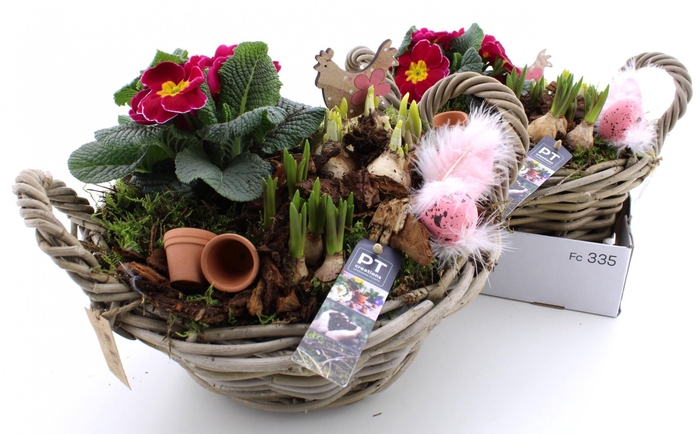 <h4>ARR PL IN SCHAAL</h4>