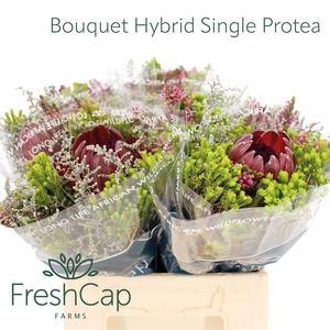 Bouquet Hybrid Single Protea