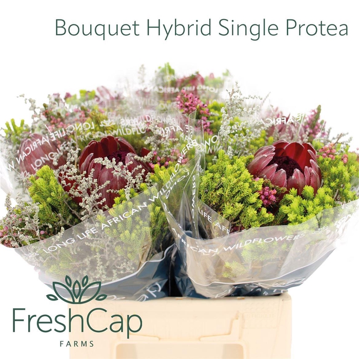 Bouquet Hybrid Single Protea