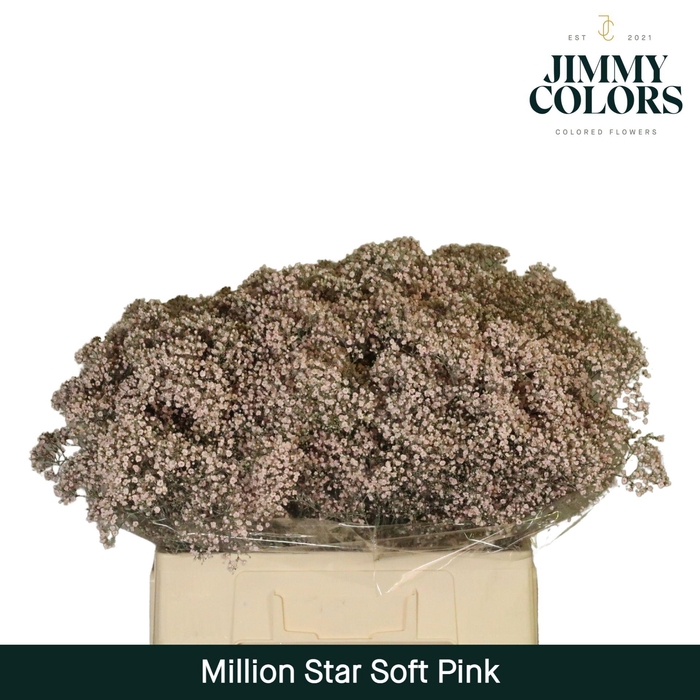 <h4>Gyps Million Star L60 Soft Pink</h4>