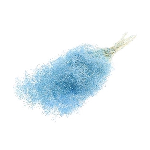 Bunch Gypsophila Pres. 100g L40/50