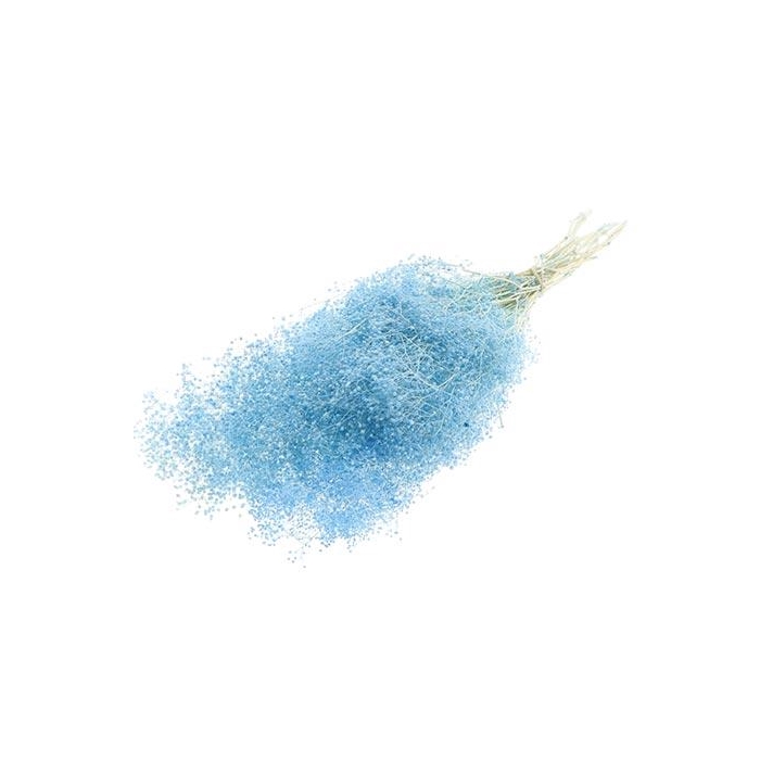 <h4>Bunch Gypsophila Pres. 100g L40/50</h4>